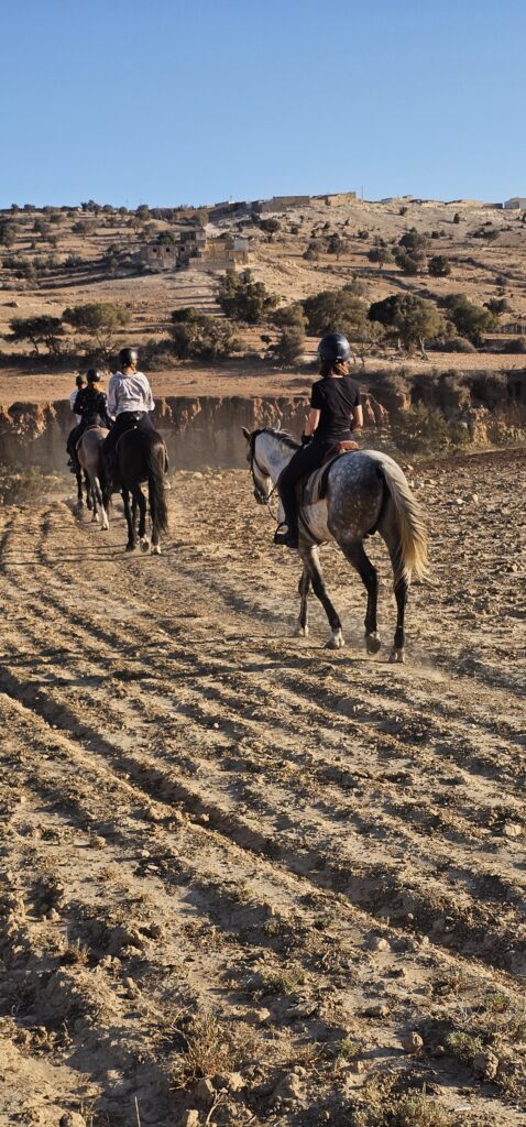 Horseback ride across rolling hills and Berber countryside near Essaouira.