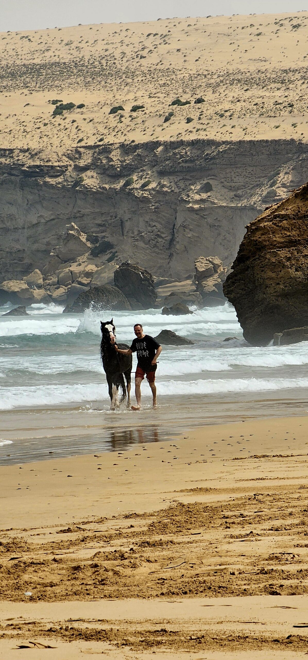 Atlantic Coast horse trek - wild beaches in Morocco