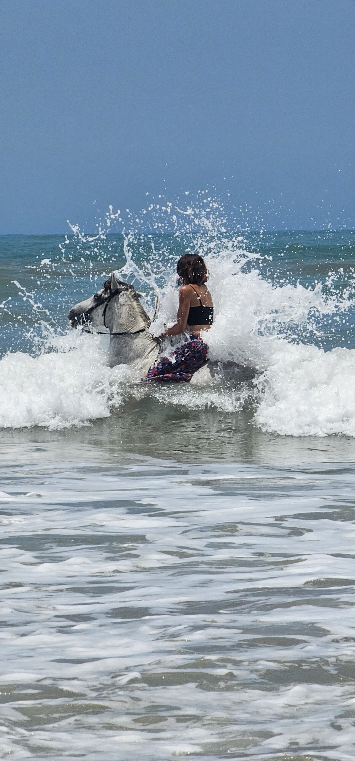 Swimming with a horse in the Atlantic Ocean in Sidi Kaouki