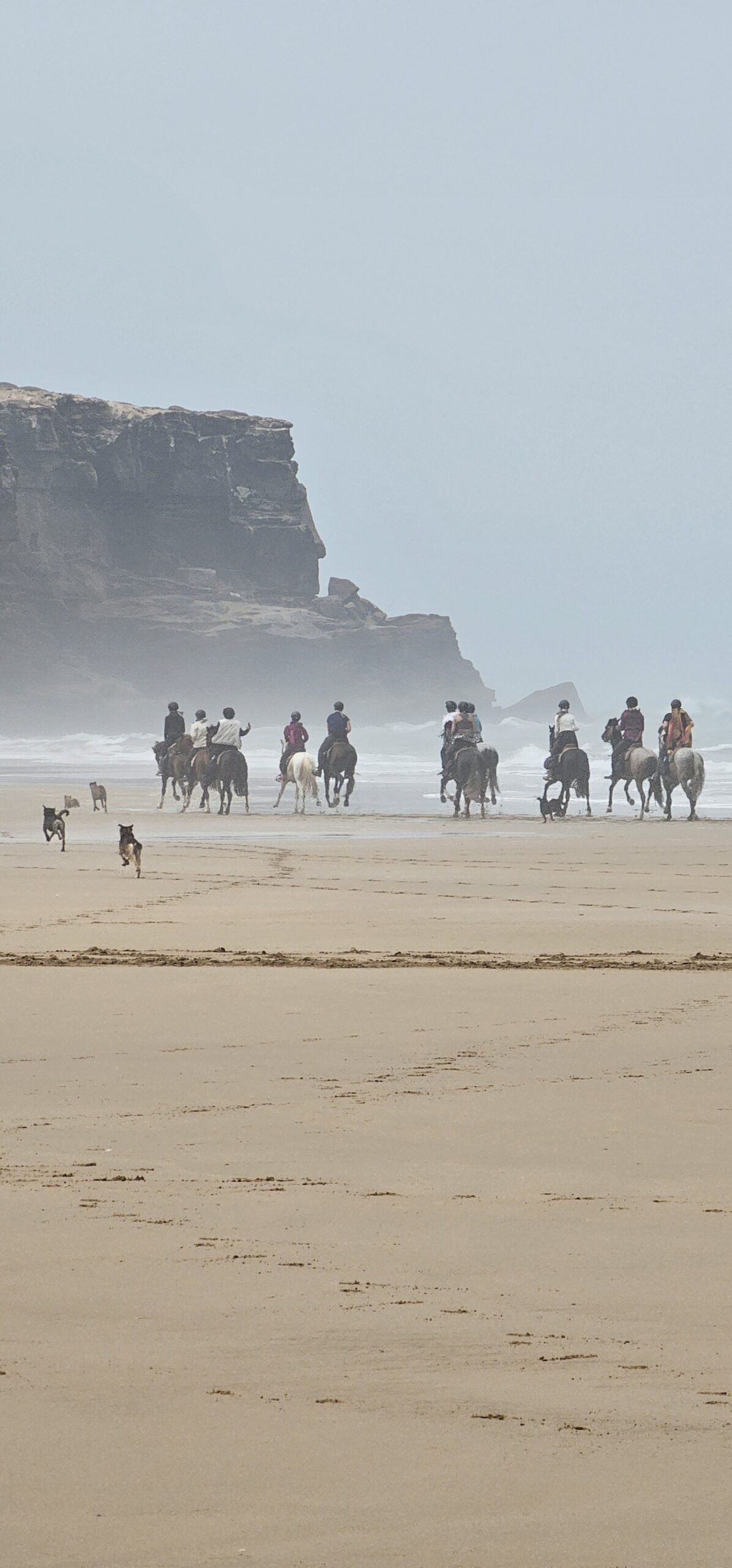 Galloping together is more than riding—it's a way of life built on trust, friendship, and community.