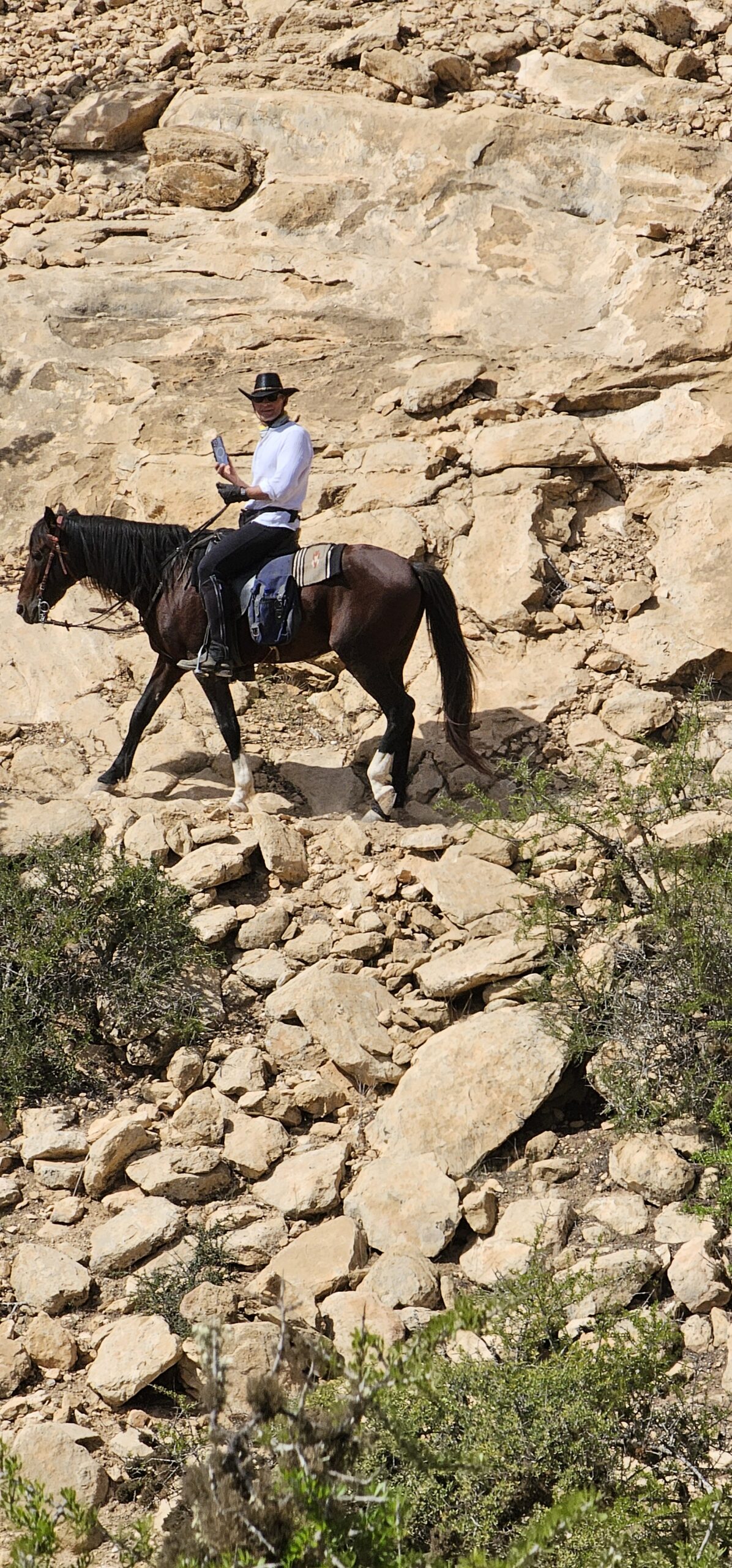 On an Atlantic Coast horse trek, trust between horse and rider matters more than speed