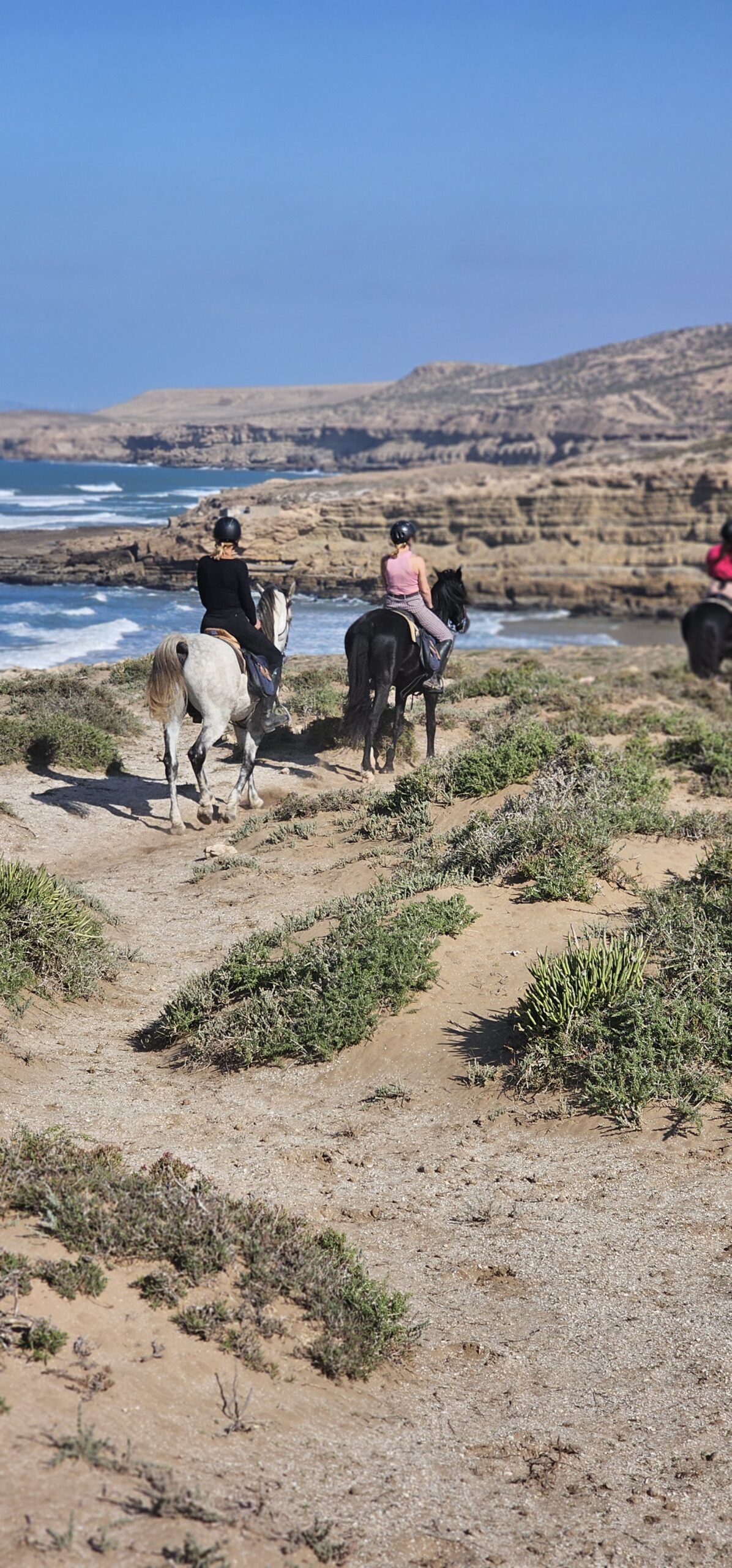 Between the Atlantic Ocean, rugged cliffs and soaring seabirds, you don't just ride through nature—you become part of it