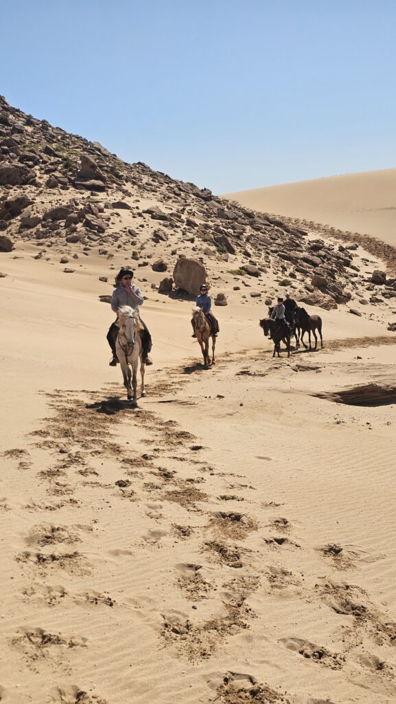 Atlantic Coast horse trek in Morocco – riders on coastal dunes