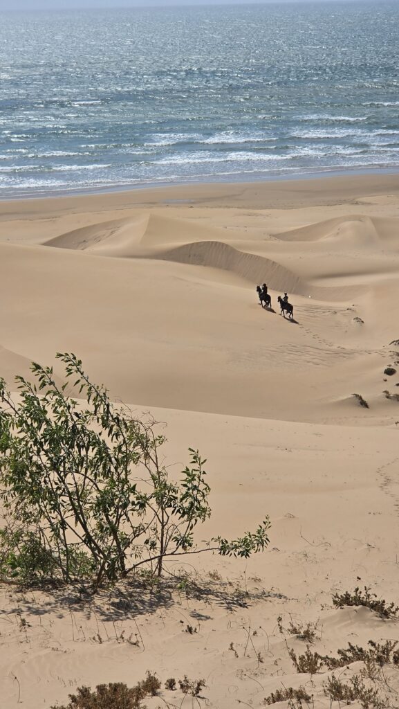 Atlantic Coast horse trek in Morocco – beach and dunes