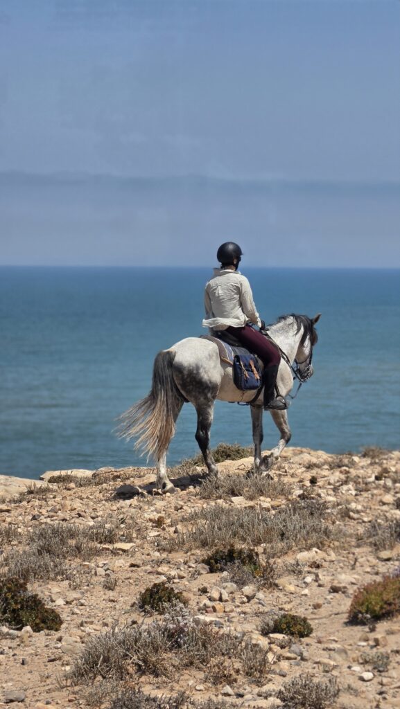 Atlantic Coast horse trek in Morocco – ocean viewpoint